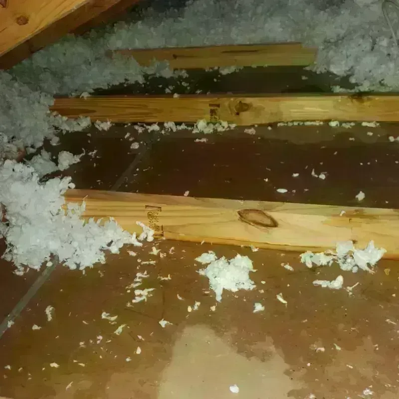 Attic Water Damage in Perry, MI